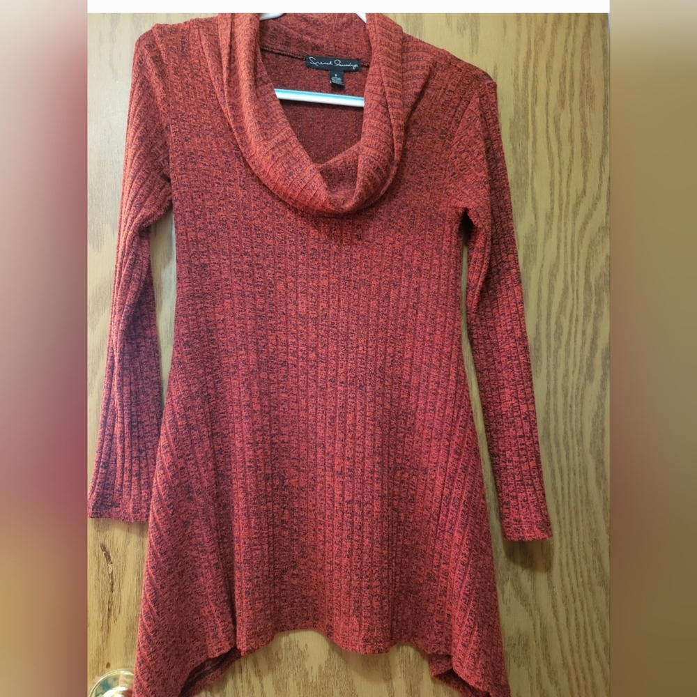 Very pretty long sleeve rust colored cowl neck sweater. Size small.